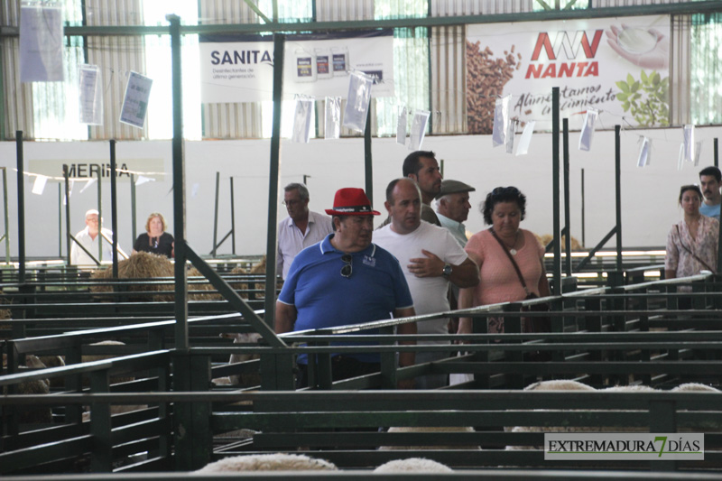 Imágenes del ambiente en la Feria de Zafra 2016