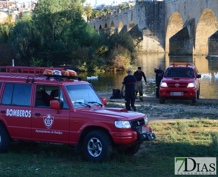 Un hombre se tira hacia el Guadiana desde el Puente de Palmas