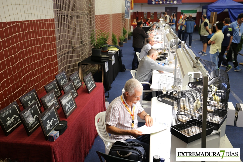 Acto de Enjuiciamiento de la 1ª Feria Ornitológica de Alburquerque