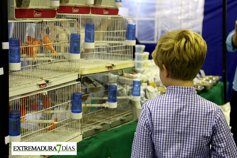 Ambiente del primer Campeonato Ornitológico del oeste en Alburquerque