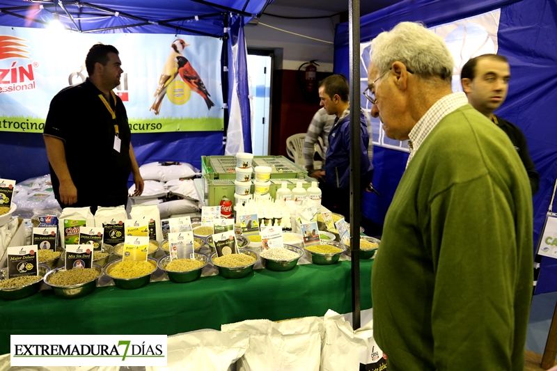 Ambiente del primer Campeonato Ornitológico del oeste en Alburquerque