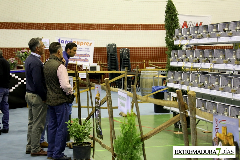 Ambiente del primer Campeonato Ornitológico del oeste en Alburquerque