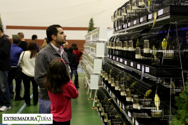 Ambiente en el primer Campeonato Ornitológico del oeste en Alburquerque