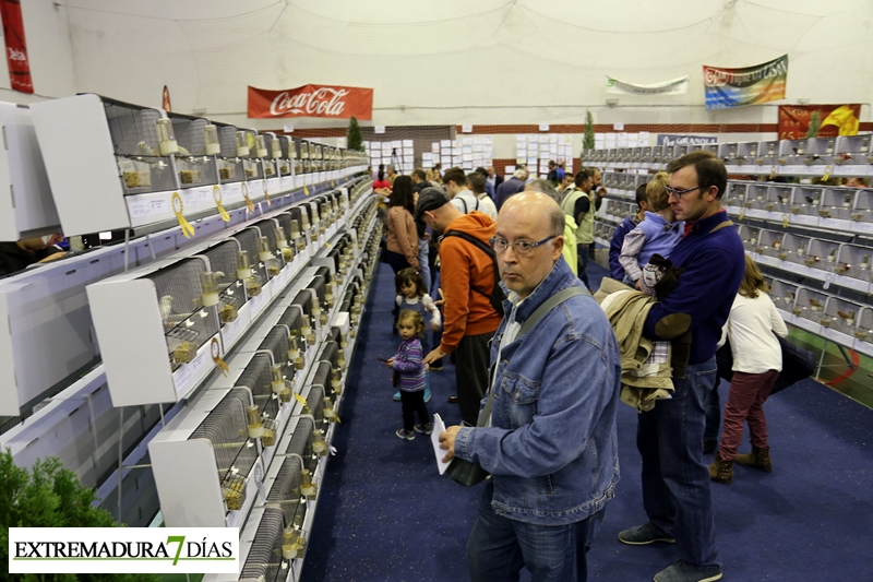 Ambiente en el primer Campeonato Ornitológico del oeste en Alburquerque