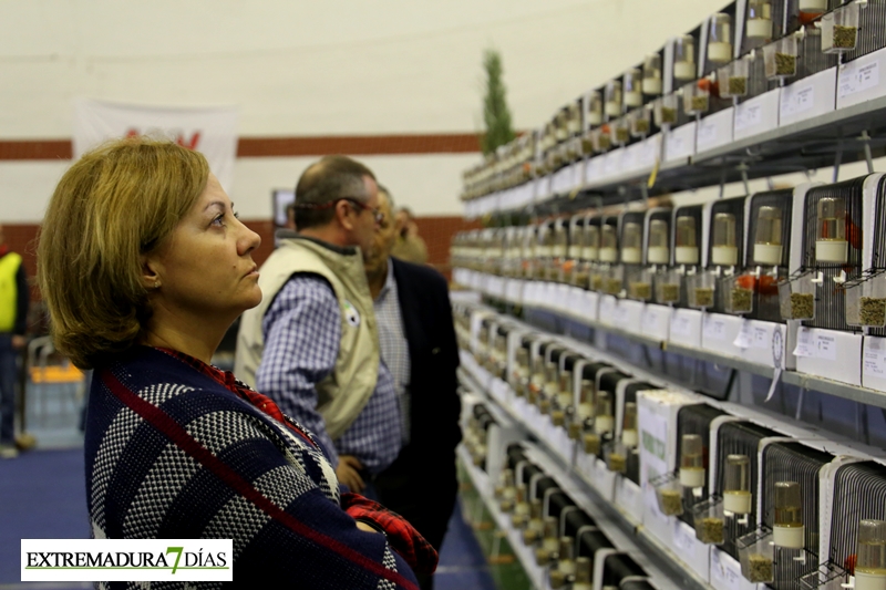 Ambiente en el primer Campeonato Ornitológico del oeste en Alburquerque