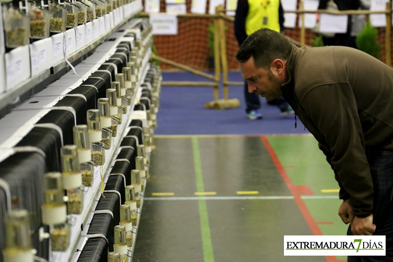 Ambiente en el primer Campeonato Ornitológico del oeste en Alburquerque