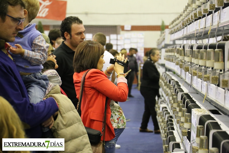 Ambiente en el primer Campeonato Ornitológico del oeste en Alburquerque