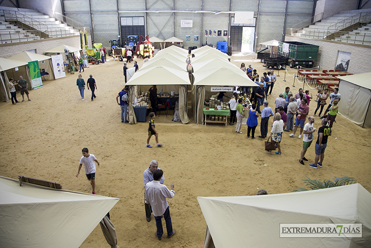 La Albuera acoge su primera Feria del Melón