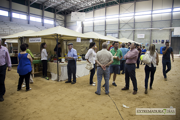 La Albuera acoge su primera Feria del Melón