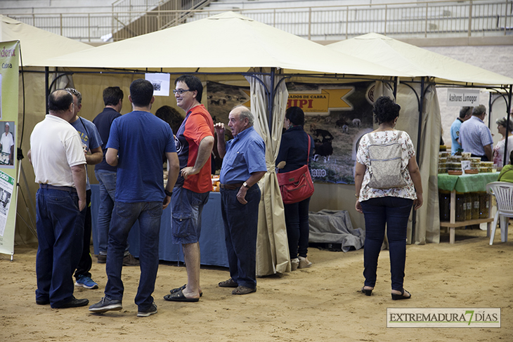 La Albuera acoge su primera Feria del Melón