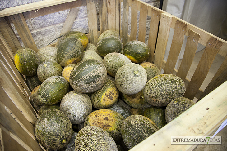 Los asistentes disfrutan del melón extremeño en AgroAlbuera