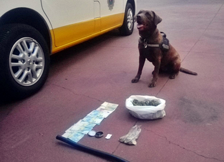 Un joven detenido con hachís y marihuana dispuestos para su venta