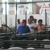 Imágenes del ambiente en la Feria de Zafra 2016