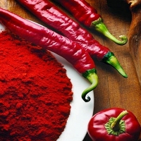 Asaja exige soluciones a la Junta ante la "ruina" de los productores del pimentón