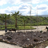 El Plan de Empleo Experiencia realizará 114 contrataciones en Mérida