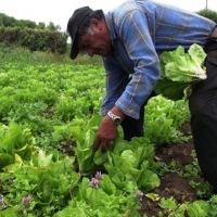 La Unión exige a la Junta la prórroga de la jubilación anticipada