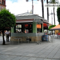 IU: "No han sido incluidas las cláusulas sociales para los quioscos"