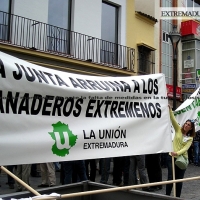 Los ganaderos se manifestarán ante la falta de medidas en la tuberculosis