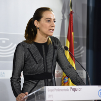 PP: &quot;La Junta no quiere explicar cuánto gasta en publicidad&quot;