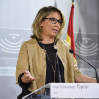 PP: “Haber cerrado el presupuesto trae esta destrucción de empleo”