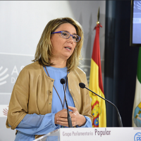 PP: “Vara evita explicar por qué no ha ejecutado los Presupuestos”
