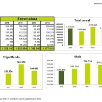 La cosecha de cereales en Extremadura aumentará un 20%