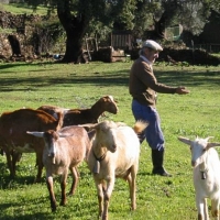 La Unión: “La Junta deja a muchos cabreros en la ruina”