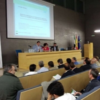 El servicio de transporte público por carretera será reestructurado