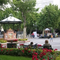 Marea azul en el Paseo de San Francisco