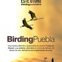 Turismo ornitológico en la Siberia Extremeña