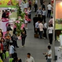 La promoción turística de Extremadura se inclina hacia el mercado asiático
