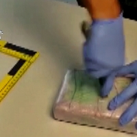 Incautadas cerca de 7.000 dosis de cocaína ocultas en un vehículo