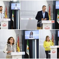 Reacciones ante el anuncio de Rajoy de suspender las reválidas