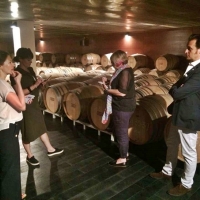 Periodistas de Australia, Portugal y Alemania se interesan por Extremadura