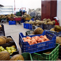 Intervienen 90 kilos de fruta que estaba siendo vendida de forma ilegal