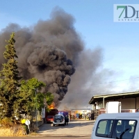 Incendio en la planta agroindustrial de Frutas Montijo