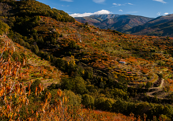 Arranca la &#39;Otoñada 2016&#39; en el Valle del Jerte