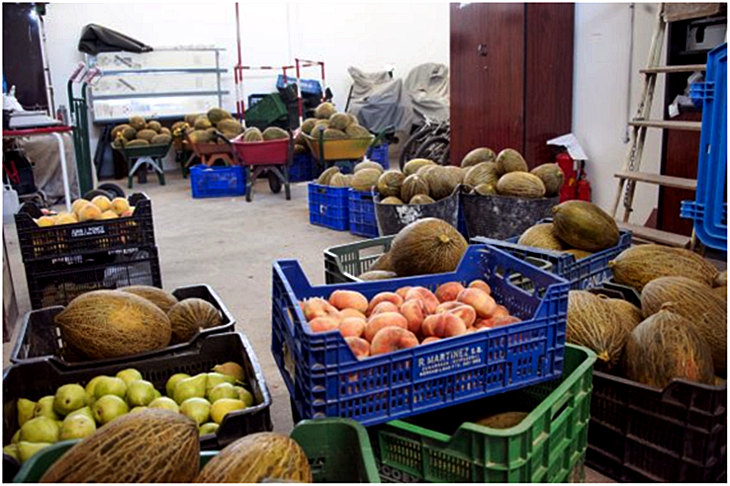 Intervienen 90 kilos de fruta que estaba siendo vendida de forma ilegal