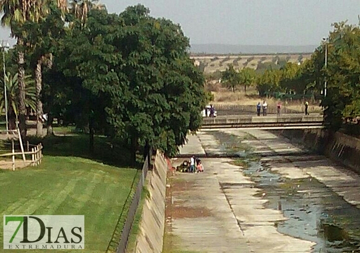 Fallece el jardinero atrapado en el Albarregas (Mérida)