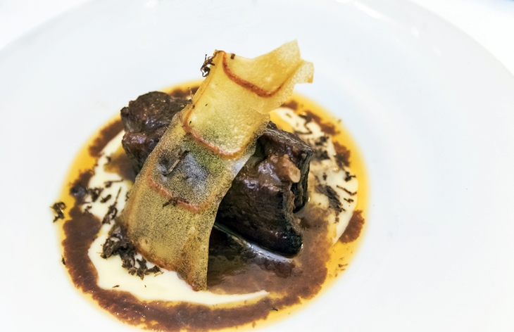 Fin de semana con sabor a ternera en Cáceres