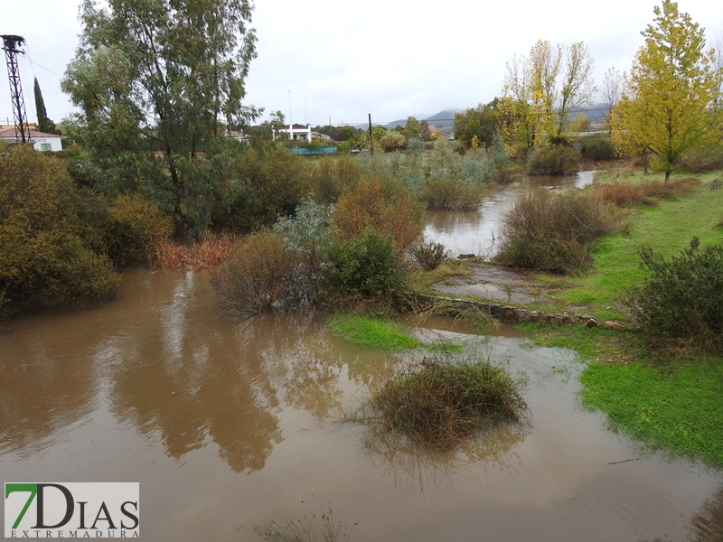 Así bajan los ríos y arroyos del oeste extremeño