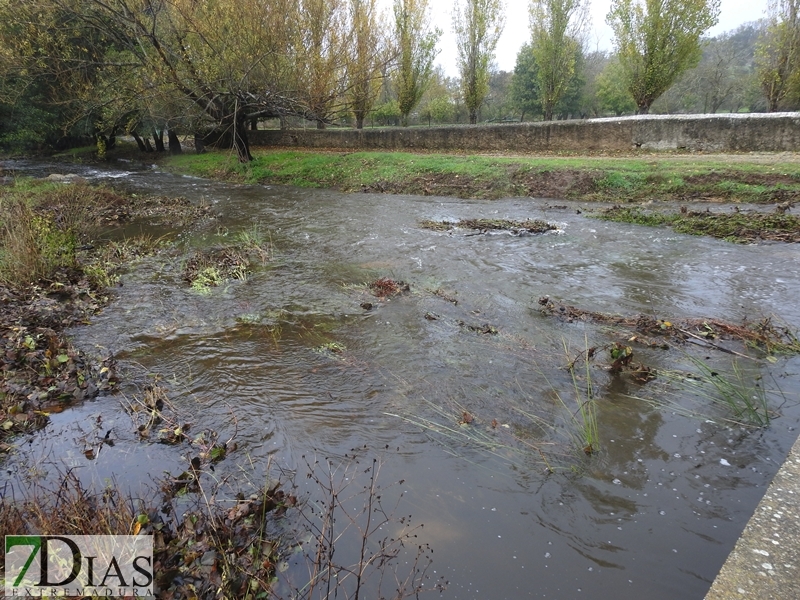 Así bajan los ríos y arroyos del oeste extremeño