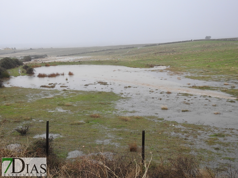 Así bajan los ríos y arroyos del oeste extremeño