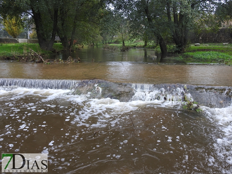 Así bajan los ríos y arroyos del oeste extremeño