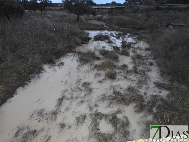 Así bajan los ríos y arroyos del oeste extremeño