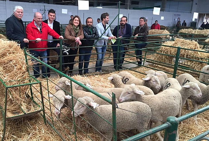 PSOE: “Defender la ganadería es responsabilidad de todos”