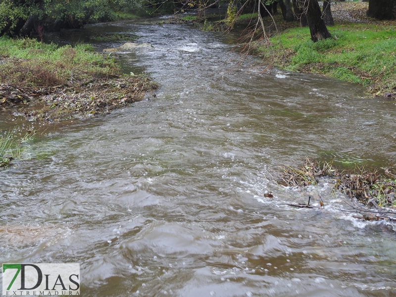 Así bajan los ríos y arroyos del oeste extremeño