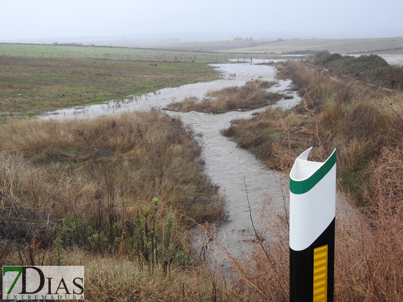 Así bajan los ríos y arroyos del oeste extremeño