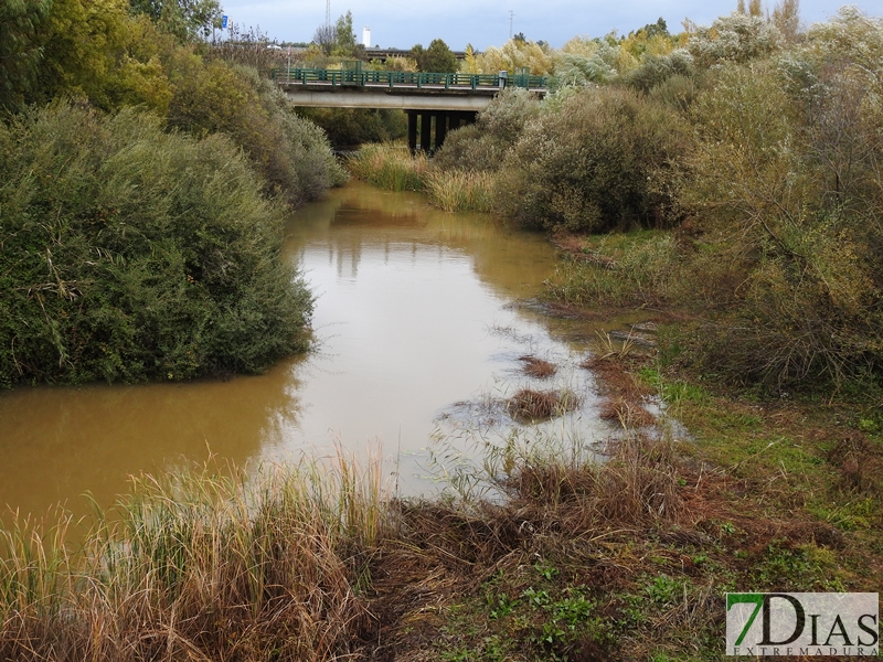 Así bajan los ríos y arroyos del oeste extremeño