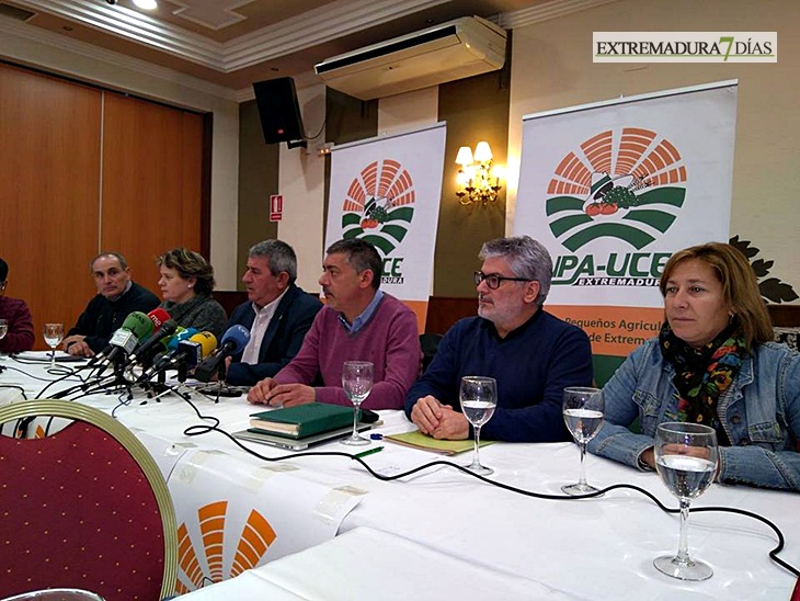 UPA: “Nosotros no hemos pedido que se retrasen las elecciones”